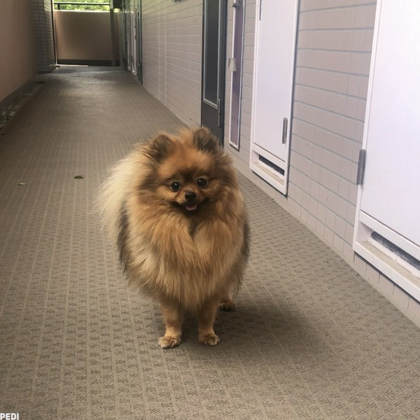 カーラちゃん