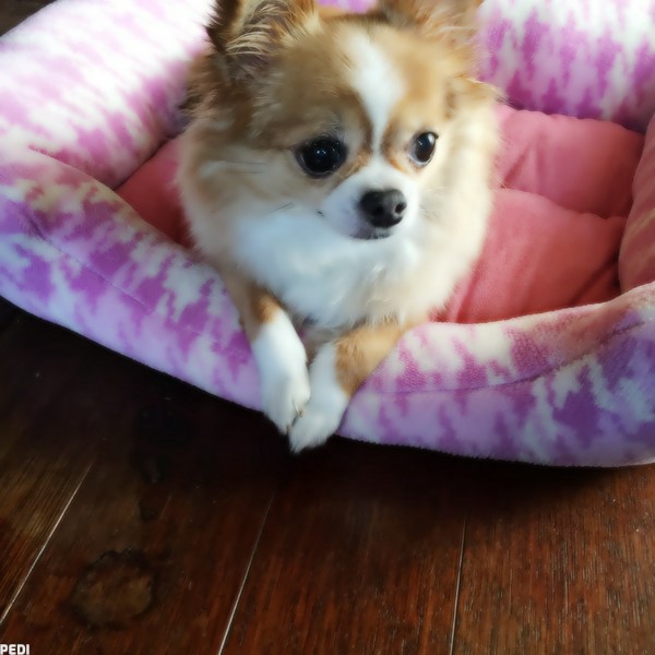 ミルクちゃん