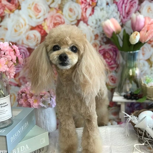 のんちゃん