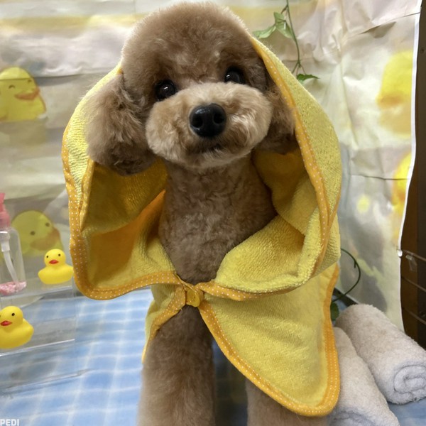 むぎくん