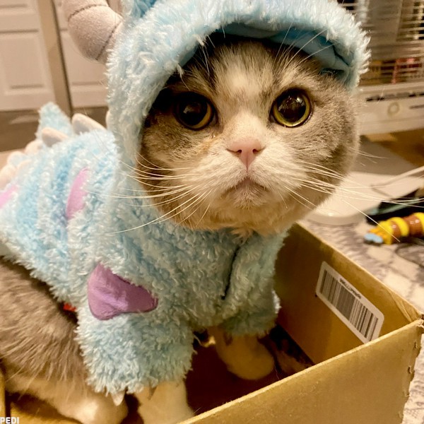 じぇらちゃん
