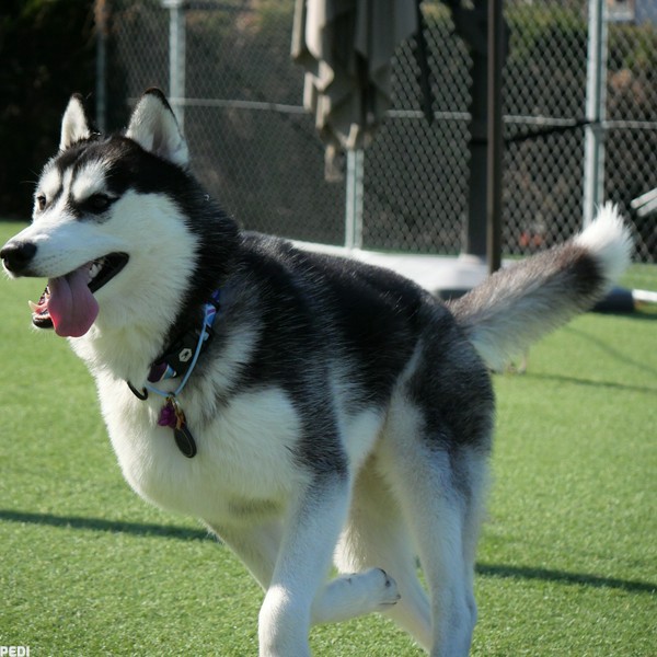 アシュリーくん