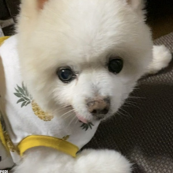 翔くん
