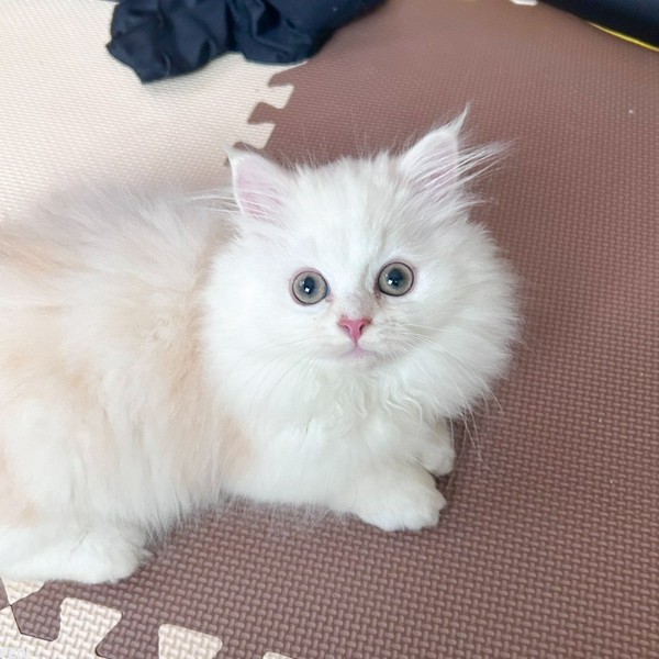 Louisくん