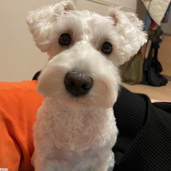 Benくん