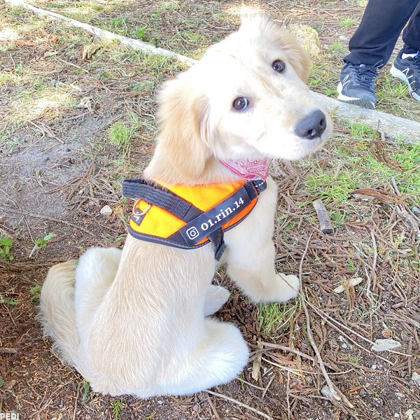 シロップちゃん