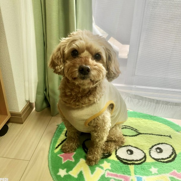 レオくん