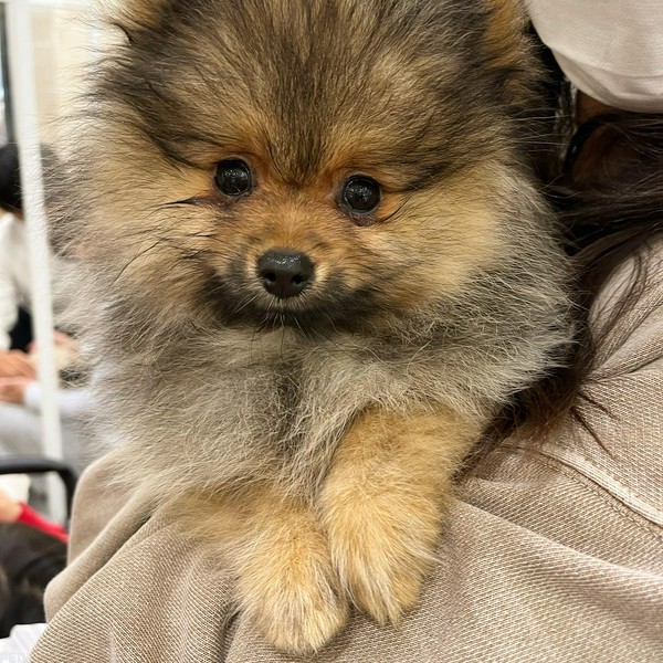 にあちゃん