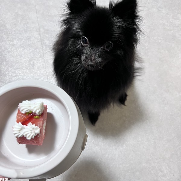 よるちゃん
