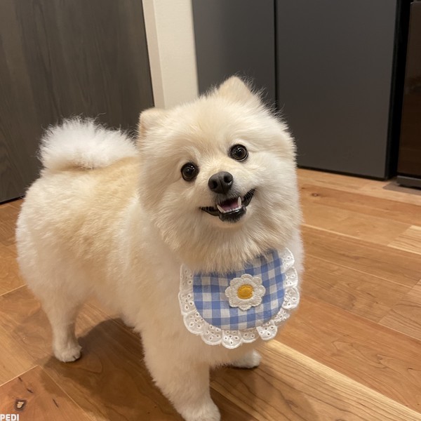 こたろうくん