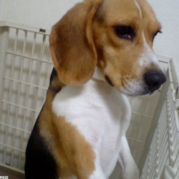 るんるんちゃん