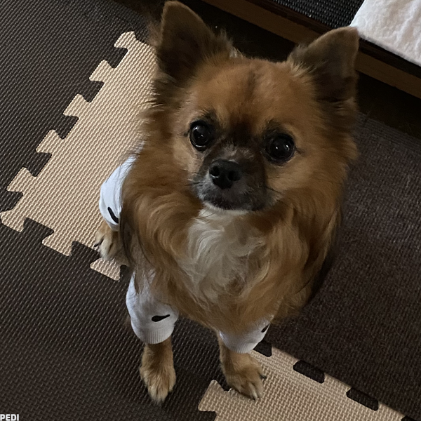 優くん