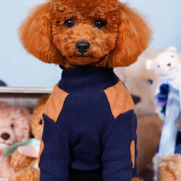 のぶながくん