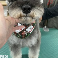 メゥちゃん