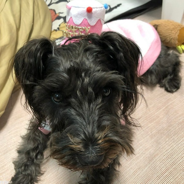 さらちゃん