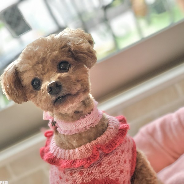 みかんちゃん
