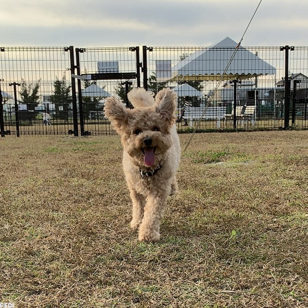 ニモくん