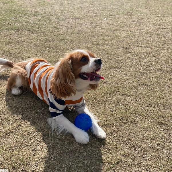 いろくん