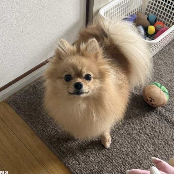 稀南（きな）ちゃん