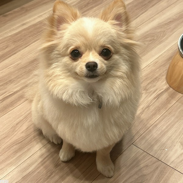 めるたくん