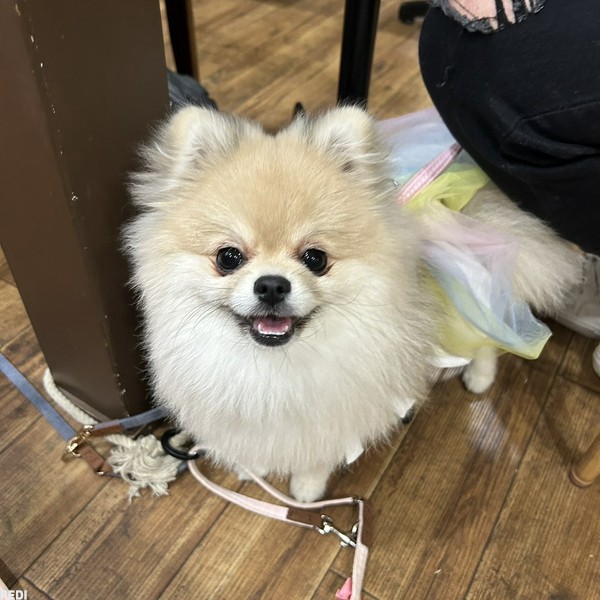 もこちゃん