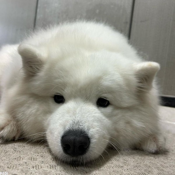 みかんちゃん