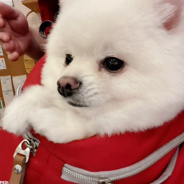 鈴ちゃん