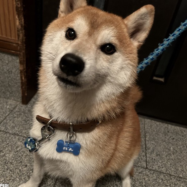 れんくん