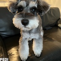 ベルちゃん