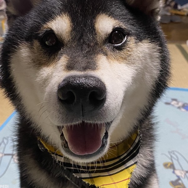 茉央くん