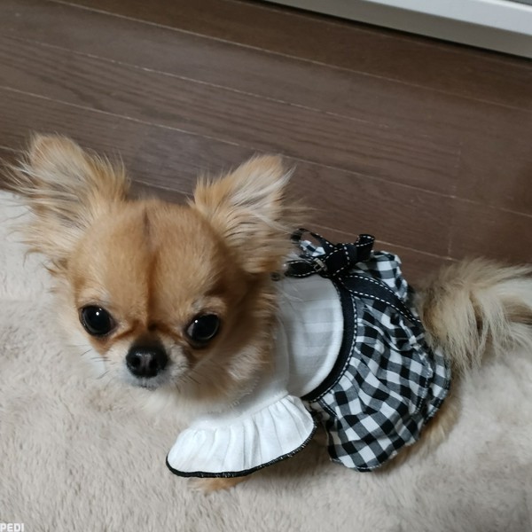 おとちゃん