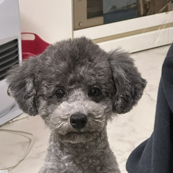 ウルくん