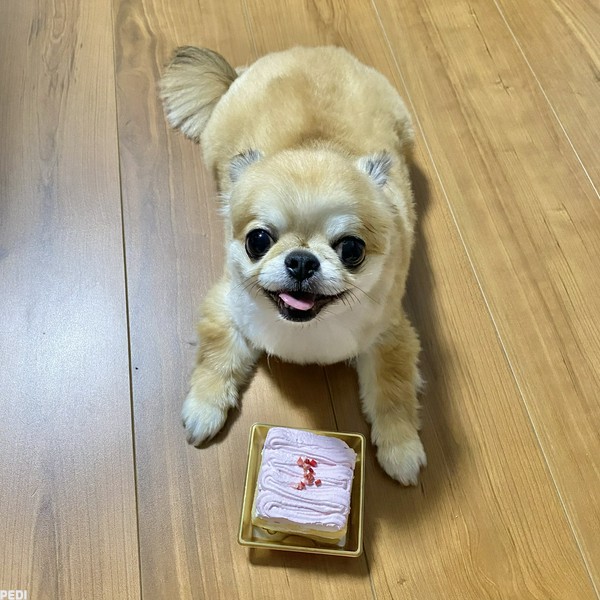 リズムくん