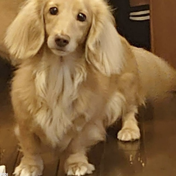 くぅちゃん