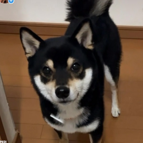 さんくん