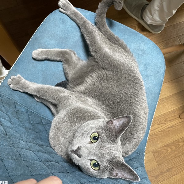 ふくくん