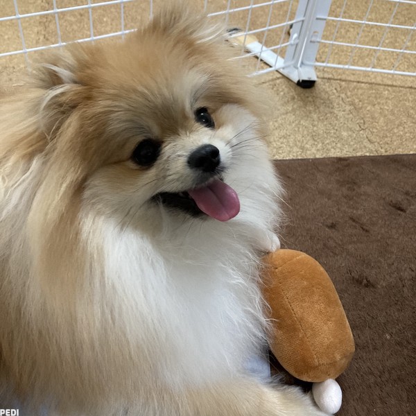 まるちゃん