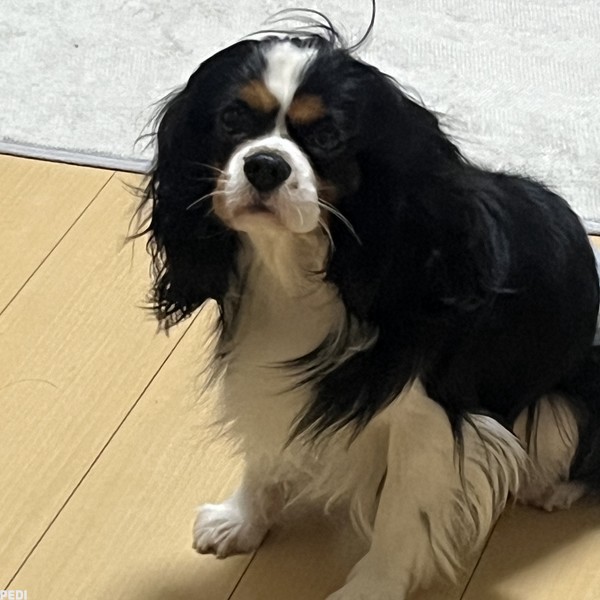 ルウクくん