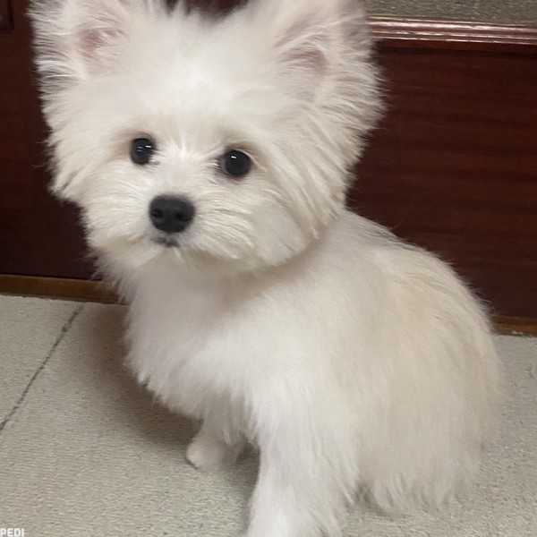むにちゃん