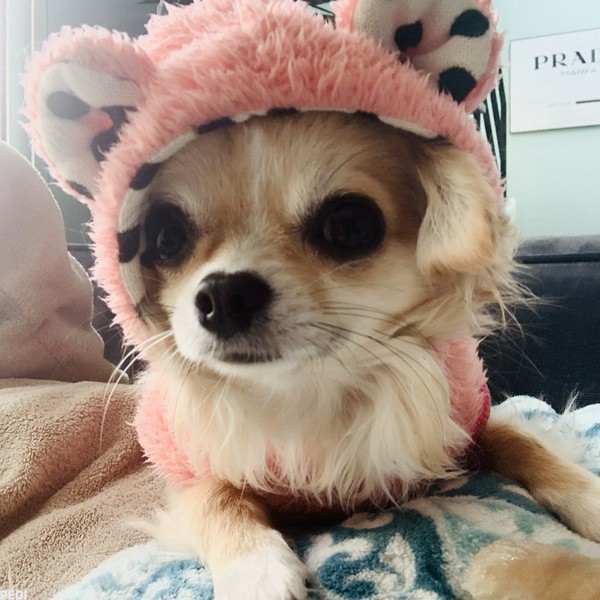 ララちゃん