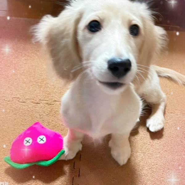 テオくん