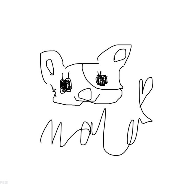 マールくん