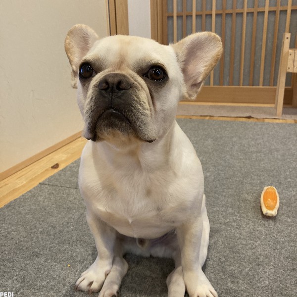 福助くん