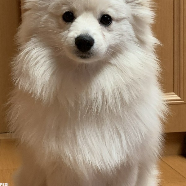 タロくん