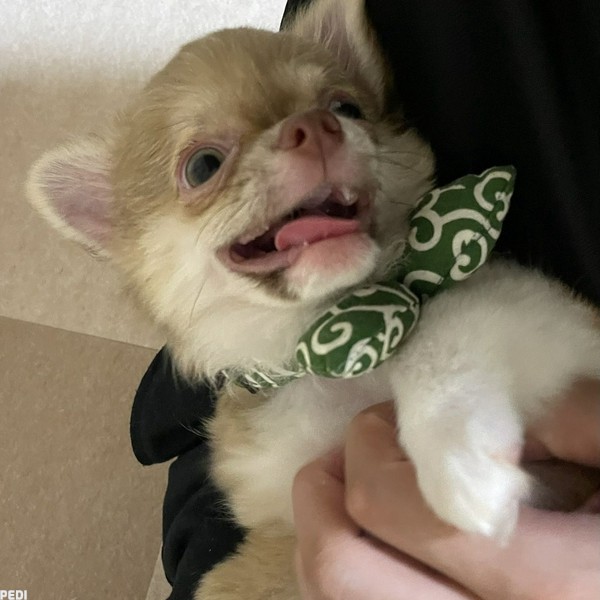 ざぶくん