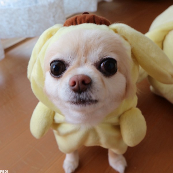 メルちゃん