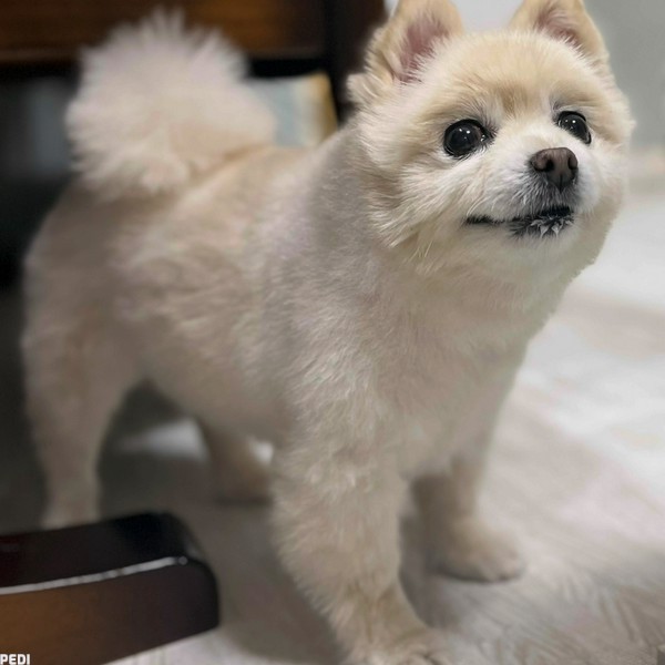 クリンちゃん