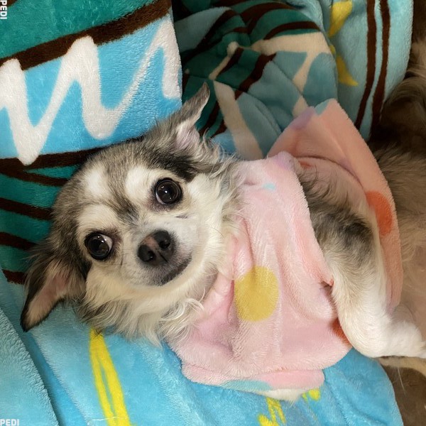 小桃ちゃん