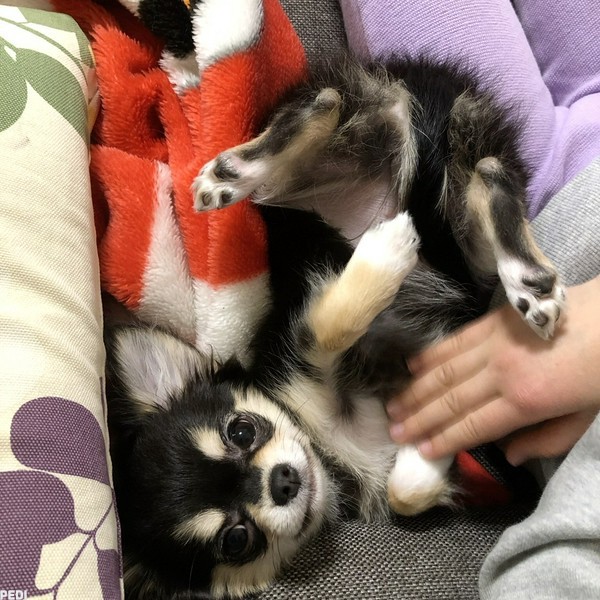 りなちゃん