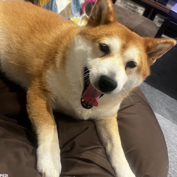 よつばちゃん